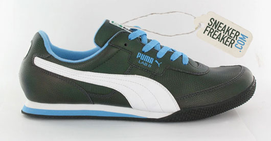 puma lab ii